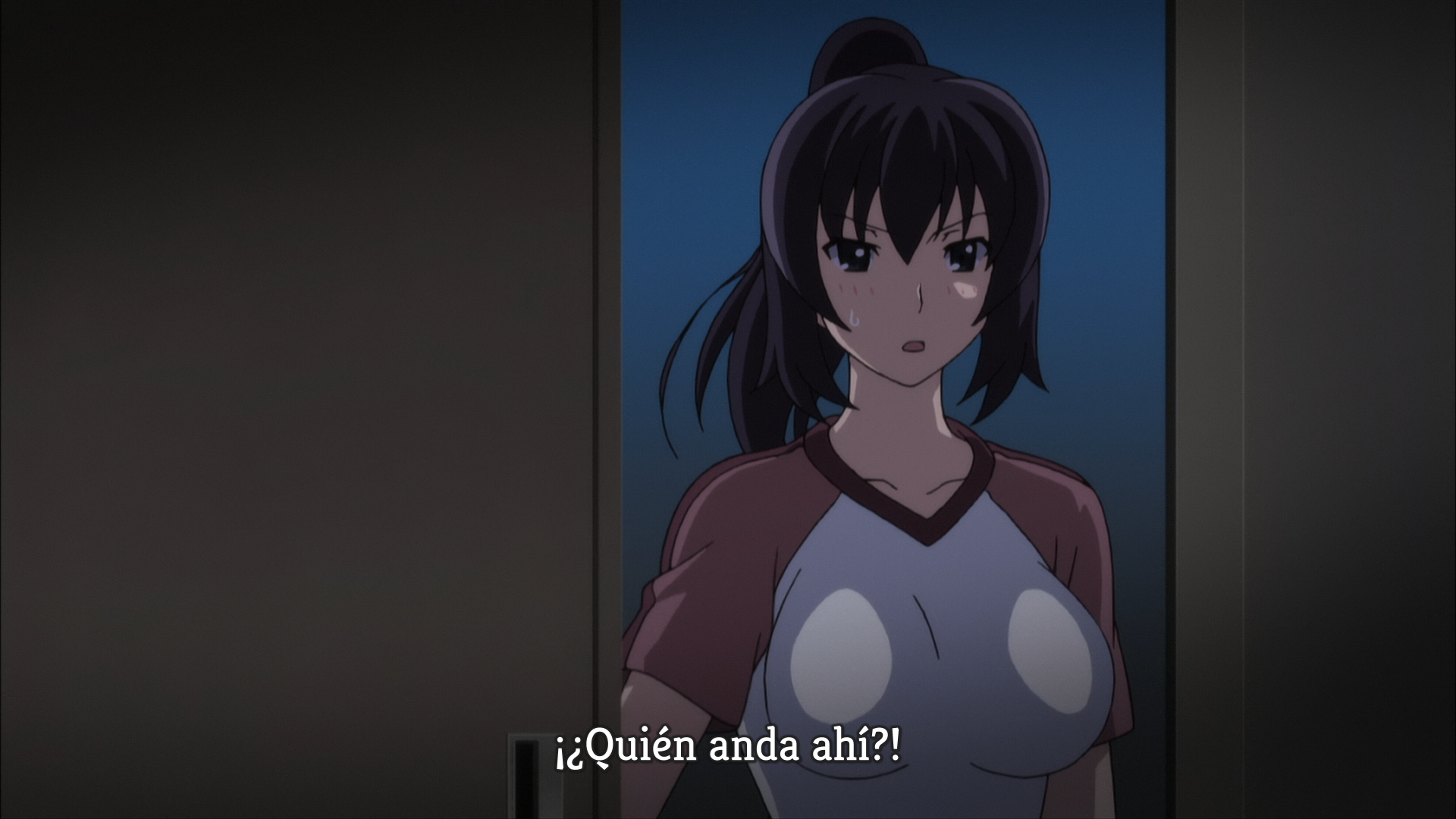 Etsuraku no Tane The Animation (Tret)